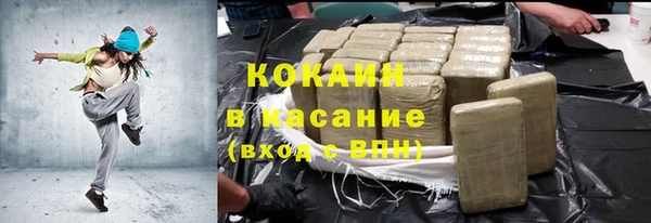 хмурый Алексин