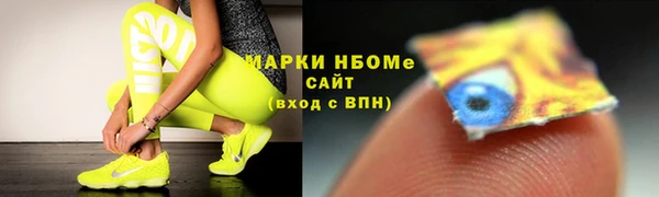 хмурый Алексин