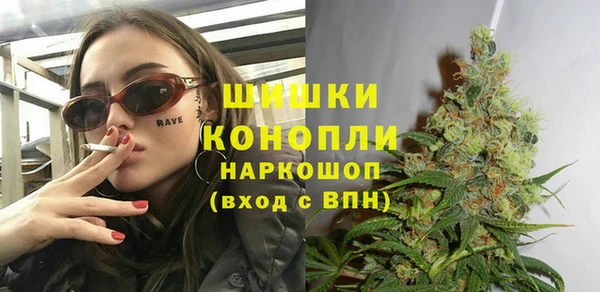 хмурый Алексин