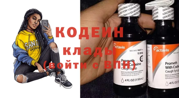 хмурый Алексин