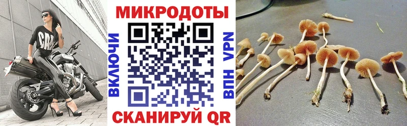 ОМГ ОМГ рабочий сайт  наркотики  Комсомольск  Галлюциногенные грибы Magic Shrooms 